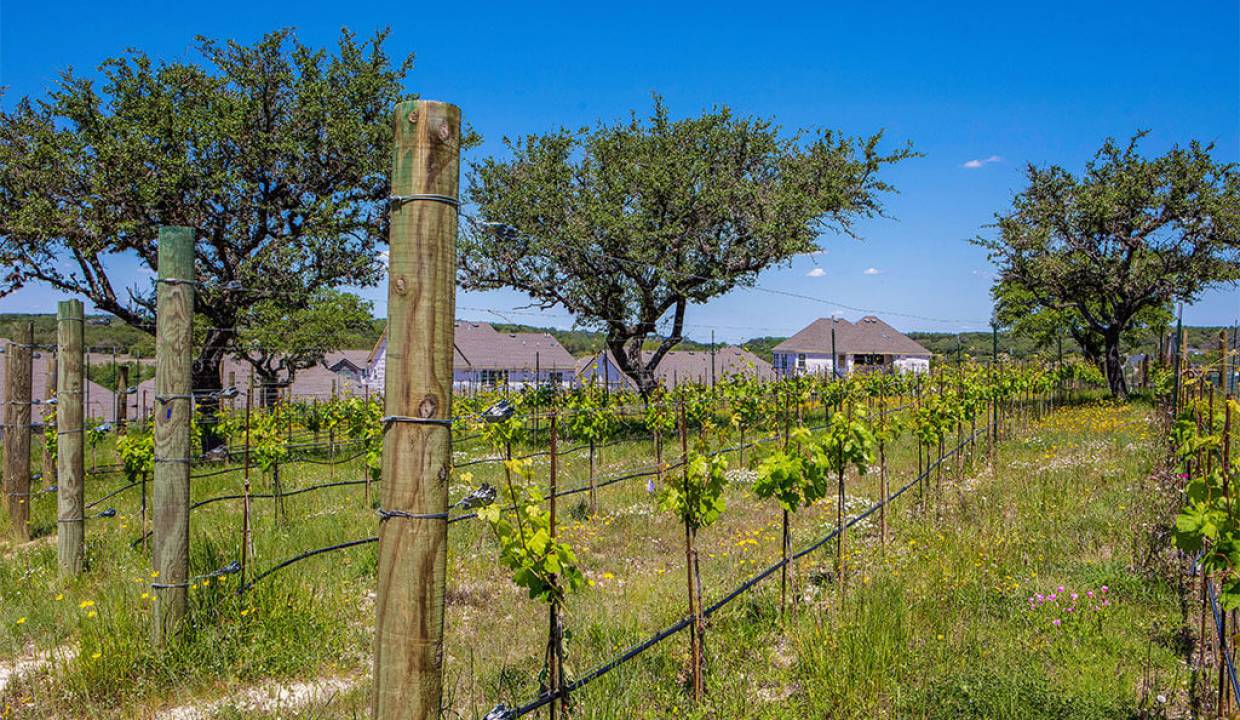 homes for sale in bee cave tx 12
